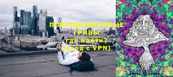бошки Алексин