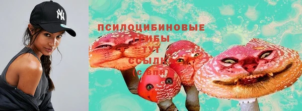бошки Алексин