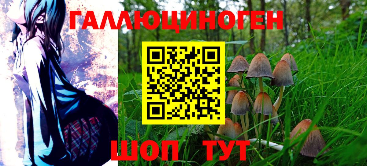 Галлюциногенные грибы ЛСД Бахчисарай