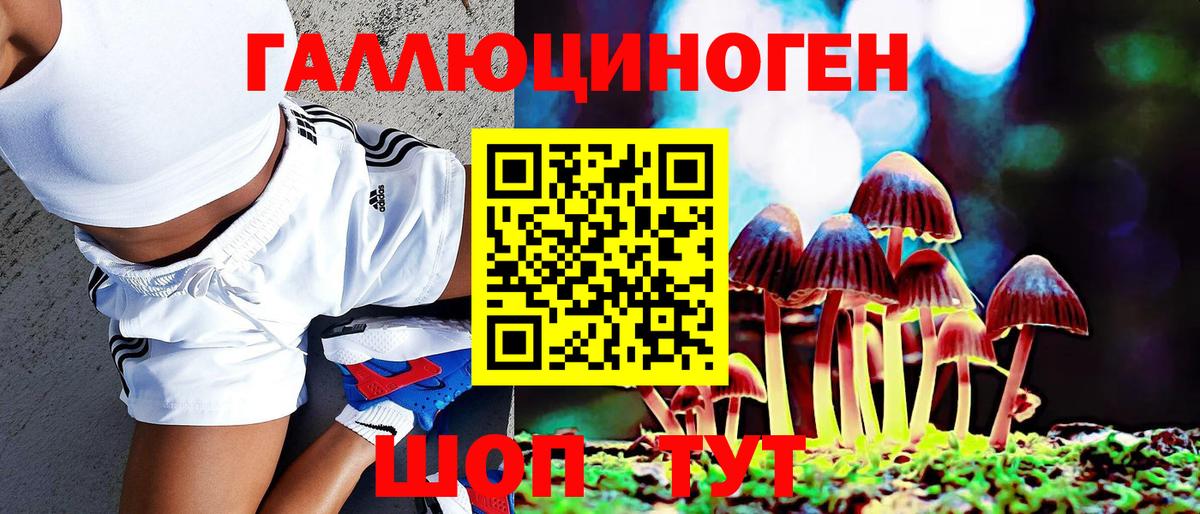 Бахчисарай  Псилоцибиновые грибы Psilocybe  купить закладку  Вход с VPN 