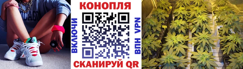 наркота  Бахчисарай  Марихуана конопля 